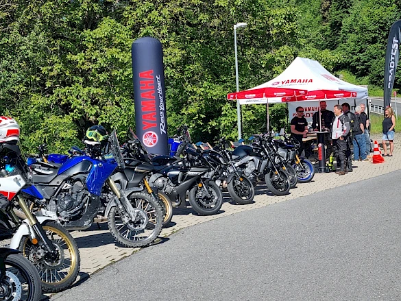 Lucky Star Partners GmbH Sargans Bild 7