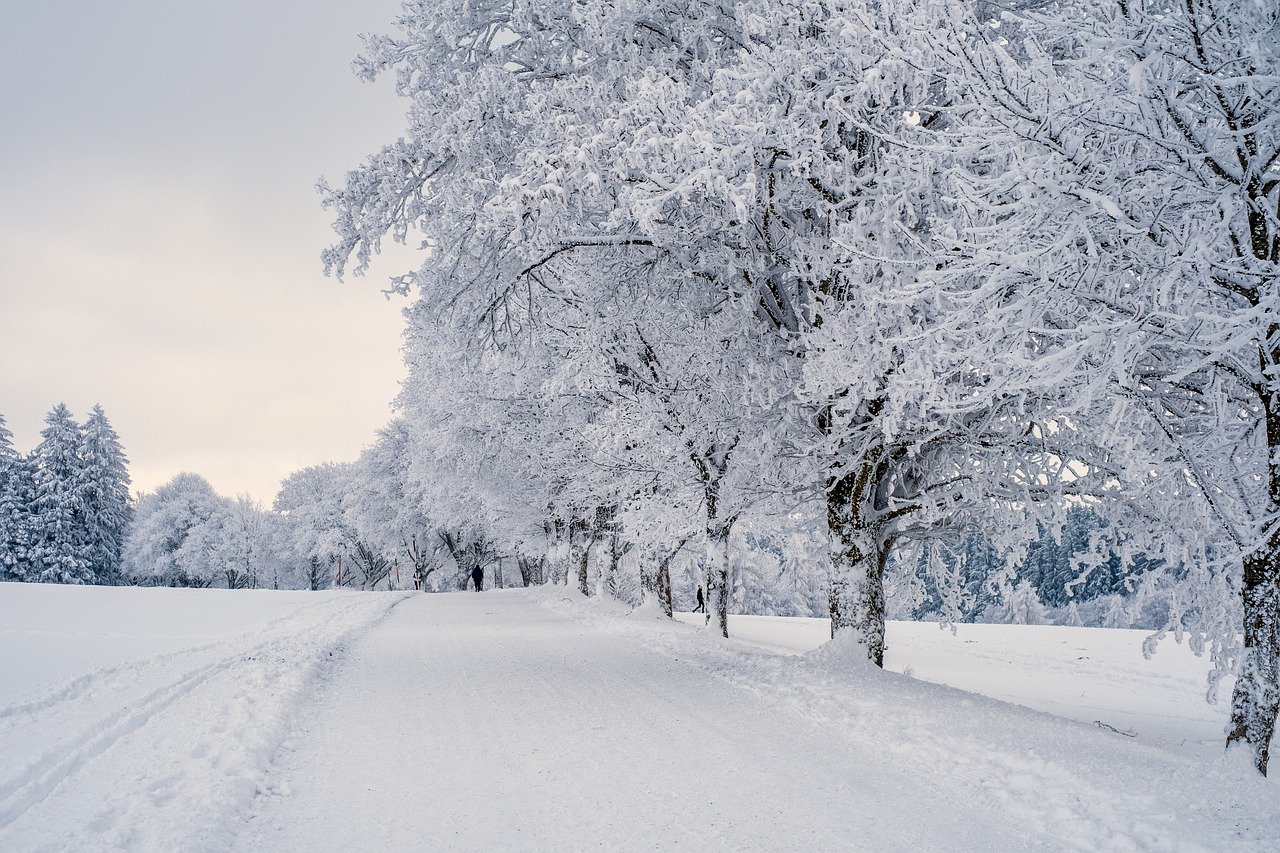 Einwinterung